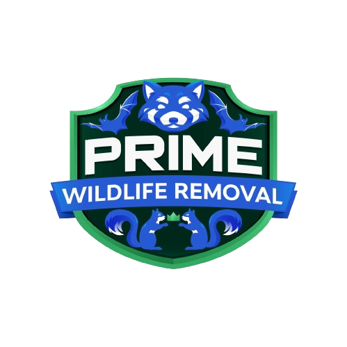 Wildlife Removal Union County